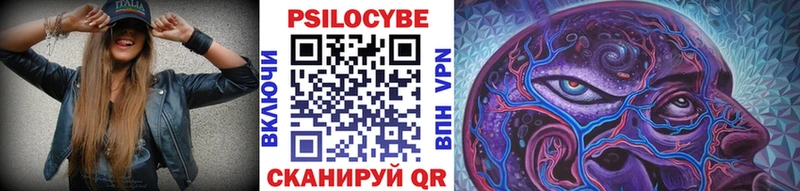 наркота  Острогожск  Псилоцибиновые грибы Cubensis 