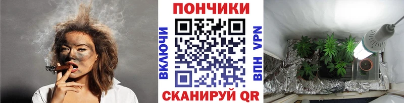 Бошки Шишки сатива  купить наркоту  Острогожск 